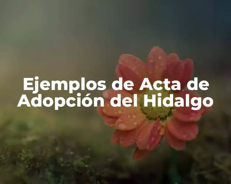 Ejemplos de Acta de Adopción del Hidalgo