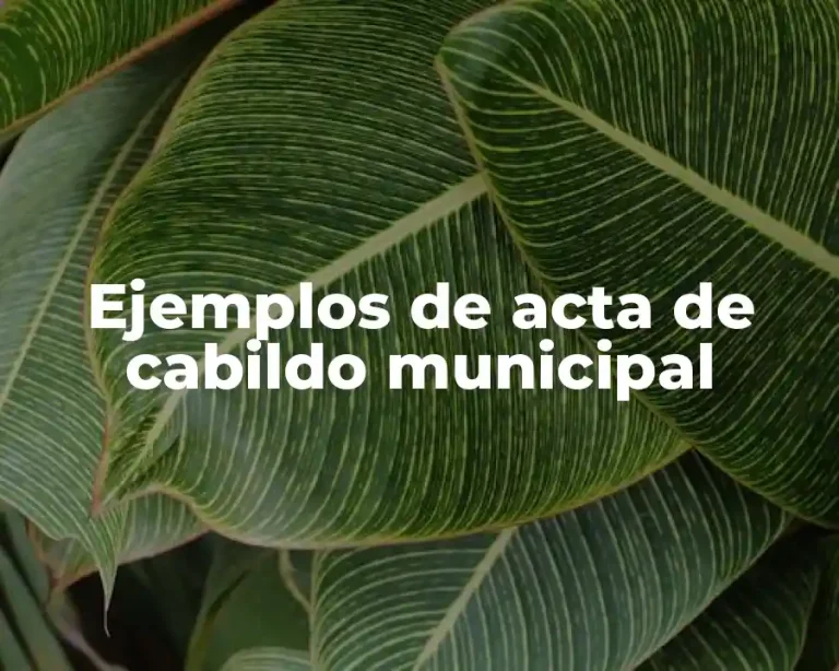 Ejemplos de acta de cabildo municipal