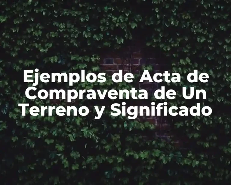 Ejemplos de Acta de Compraventa de Un Terreno y Significado
