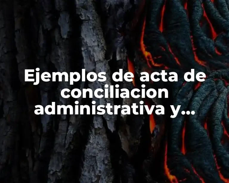 Ejemplos de acta de conciliacion administrativa y Significado