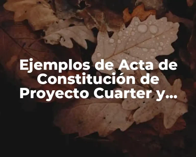 Ejemplos de Acta de Constitución de Proyecto Cuarter y Significado