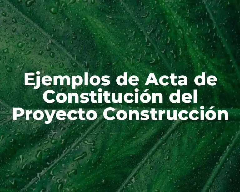 Ejemplos de Acta de Constitución del Proyecto Construcción