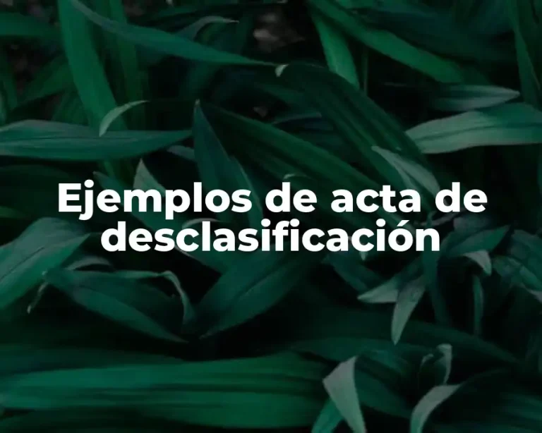 Ejemplos de acta de desclasificación