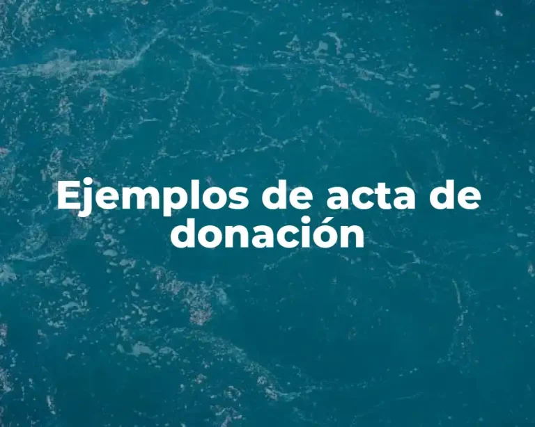 Ejemplos de acta de donación
