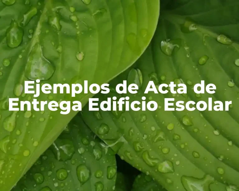 Ejemplos de Acta de Entrega Edificio Escolar