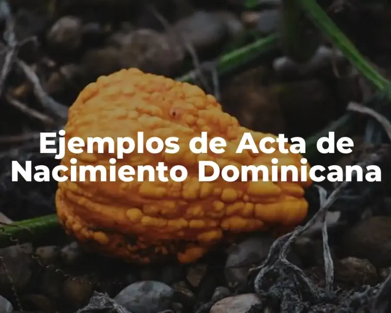 Ejemplos de Acta de Nacimiento Dominicana