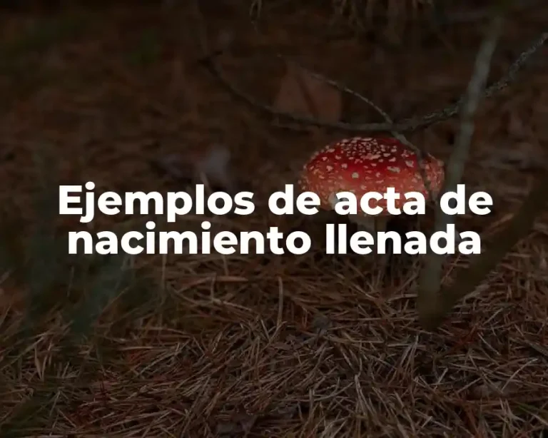 Ejemplos de acta de nacimiento llenada