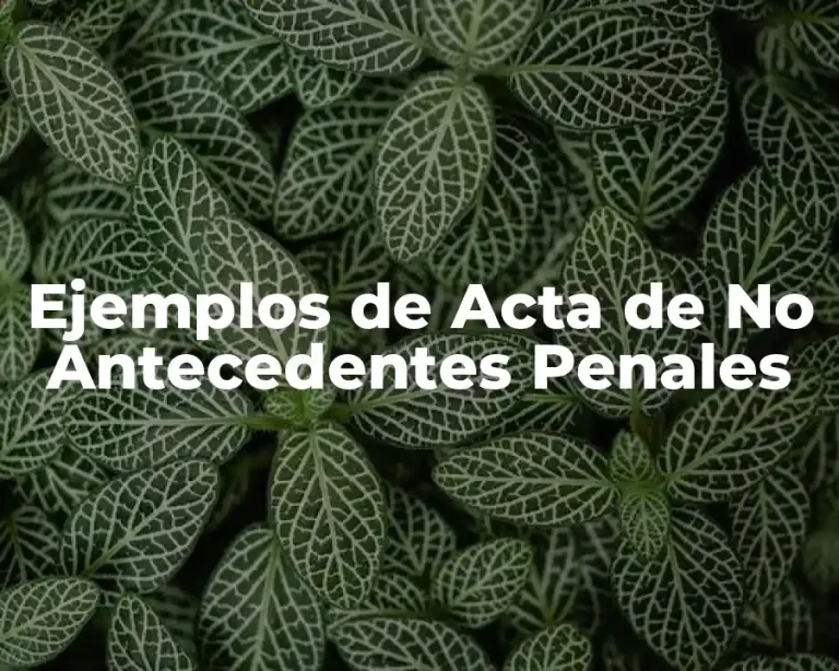 Ejemplos de Acta de No Antecedentes Penales