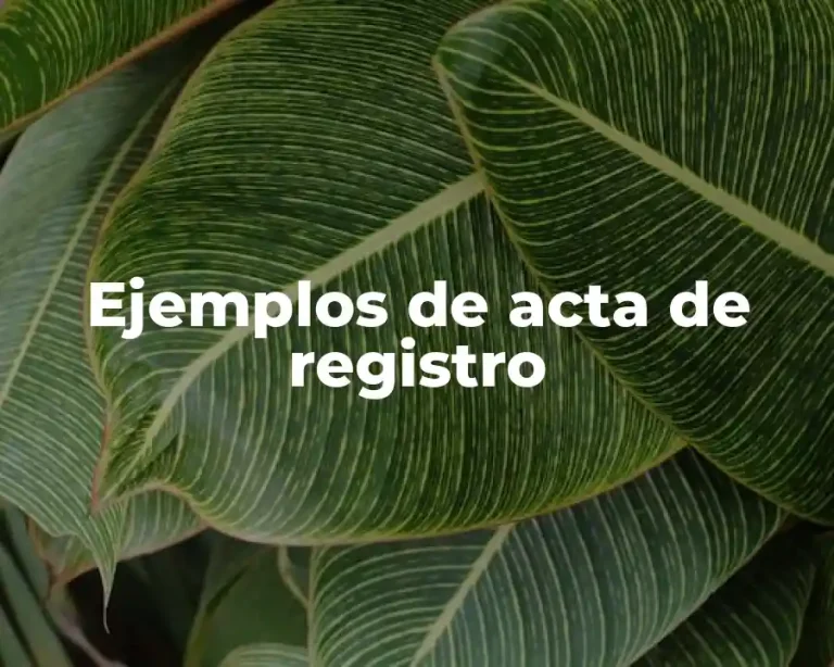 Ejemplos de acta de registro