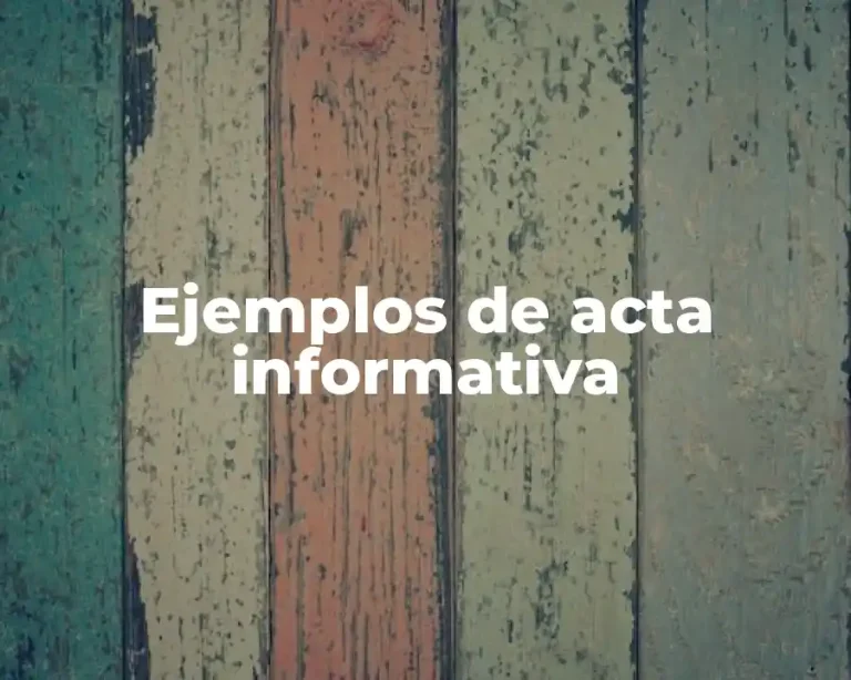 Ejemplos de acta informativa