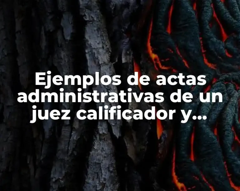 Ejemplos de actas administrativas de un juez calificador y Significado