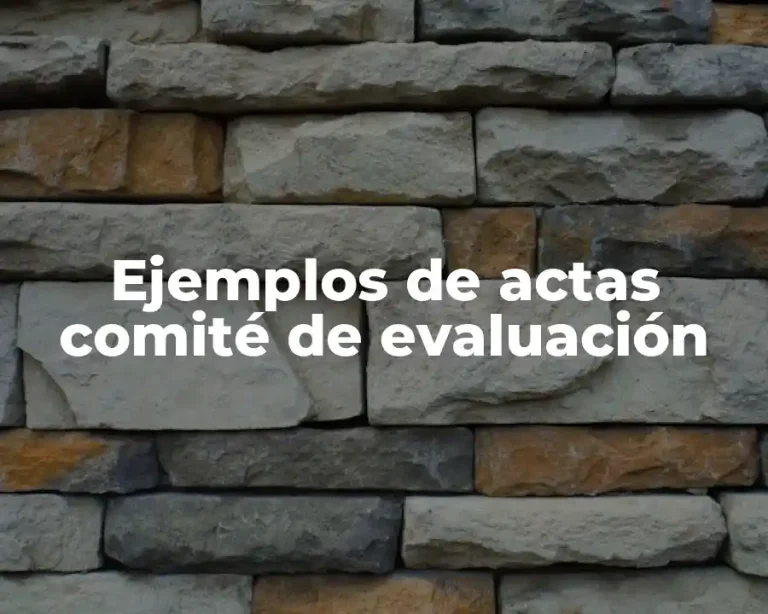 Ejemplos de actas comité de evaluación