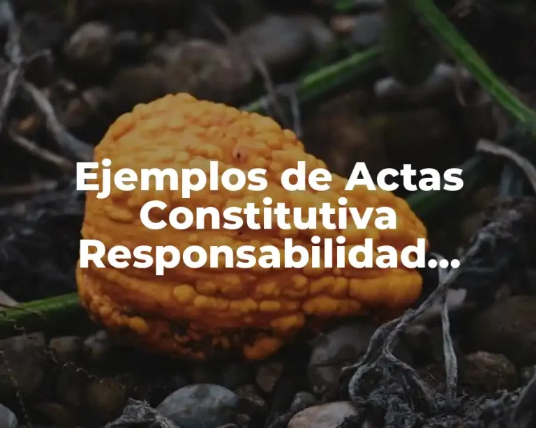 Ejemplos de Actas Constitutiva Responsabilidad Limitada de Capital