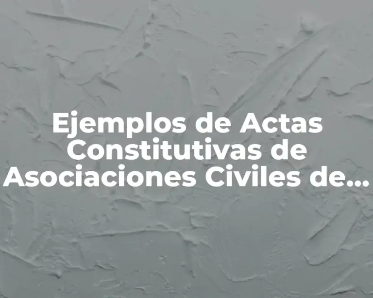 Ejemplos de Actas Constitutivas de Asociaciones Civiles de Valladolid
