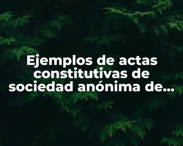 Ejemplos de actas constitutivas de sociedad anónima de capital variable