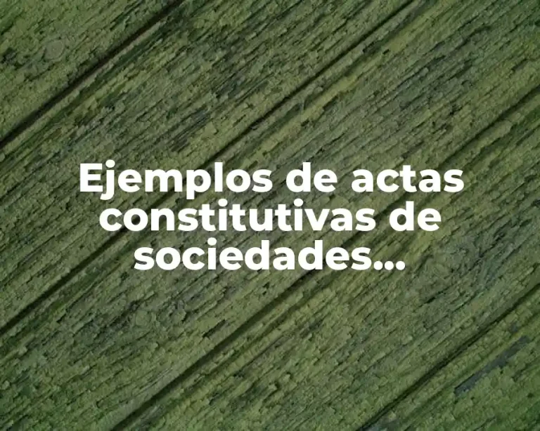 Ejemplos de actas constitutivas de sociedades cooperativas y Significado