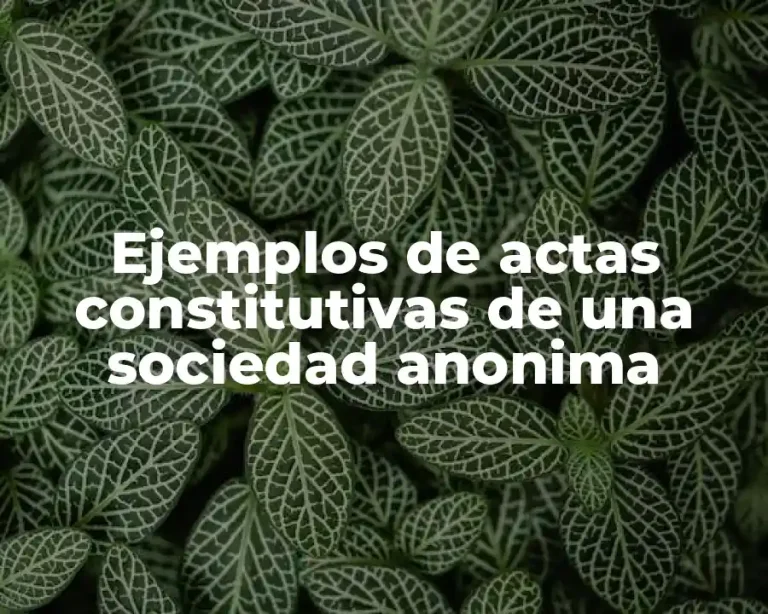 Ejemplos de actas constitutivas de una sociedad anonima