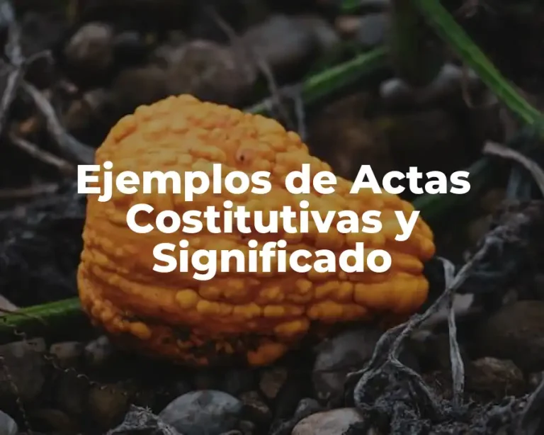 Ejemplos de Actas Costitutivas y Significado