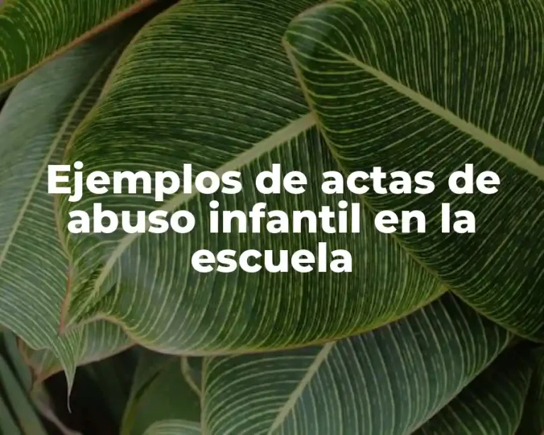 Ejemplos de actas de abuso infantil en la escuela