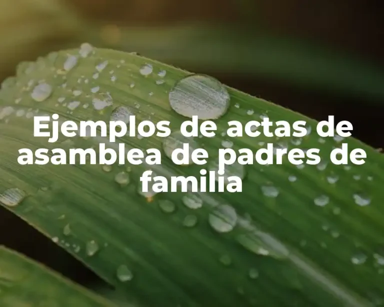 Ejemplos de actas de asamblea de padres de familia