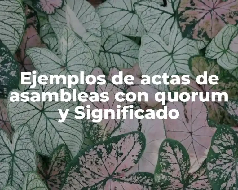Ejemplos de actas de asambleas con quorum y Significado