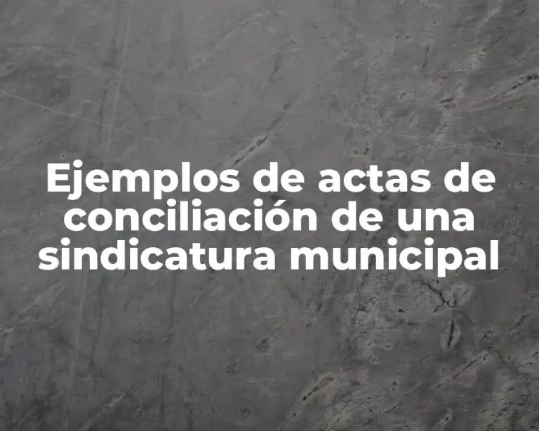 Ejemplos de actas de conciliación de una sindicatura municipal