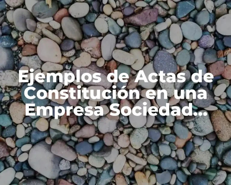 Ejemplos de Actas de Constitución en una Empresa Sociedad Anónima y Significado