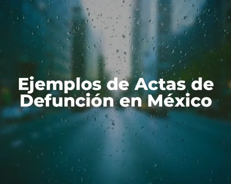 Ejemplos de Actas de Defunción en México