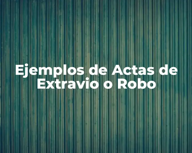 Ejemplos de Actas de Extravio o Robo