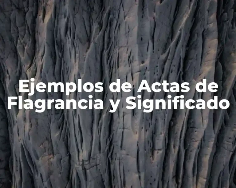 Ejemplos de Actas de Flagrancia y Significado