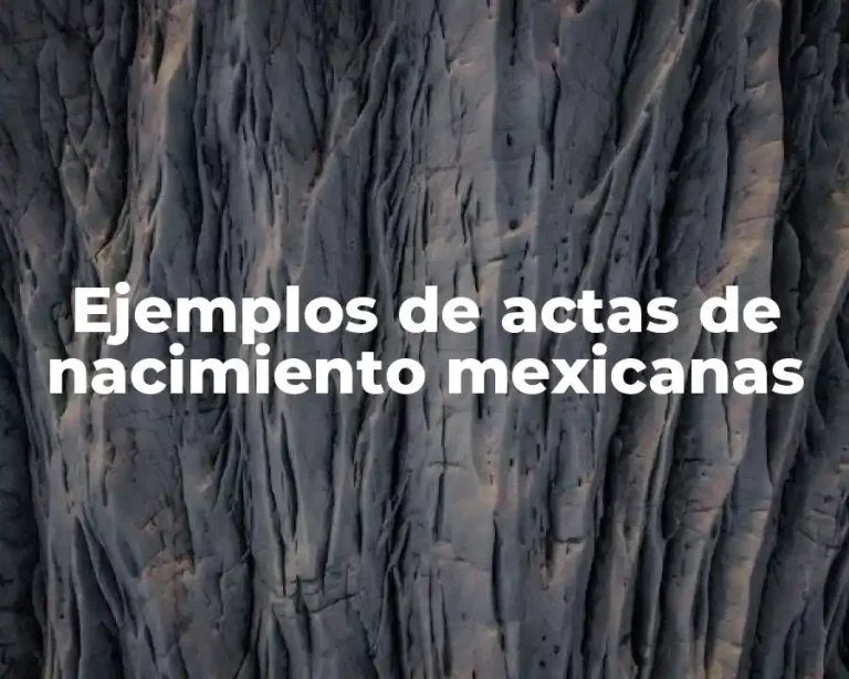 Ejemplos de actas de nacimiento mexicanas