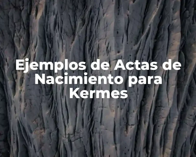Ejemplos de Actas de Nacimiento para Kermes
