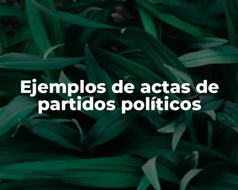 Ejemplos de actas de partidos políticos