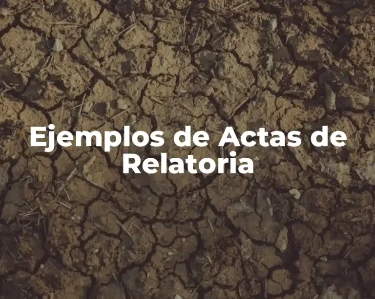Ejemplos de Actas de Relatoria