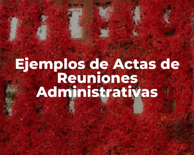 Ejemplos de Actas de Reuniones Administrativas
