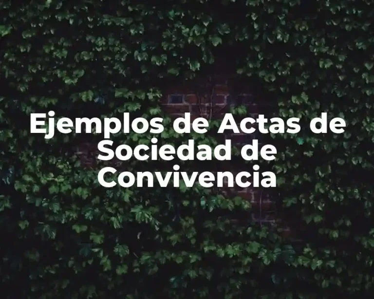 Ejemplos de Actas de Sociedad de Convivencia