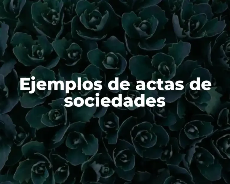 Ejemplos de actas de sociedades