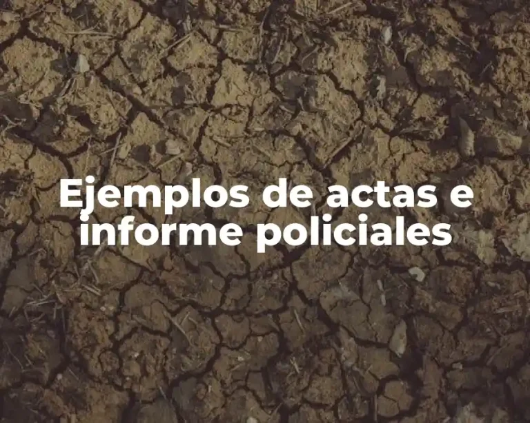 Ejemplos de actas e informe policiales