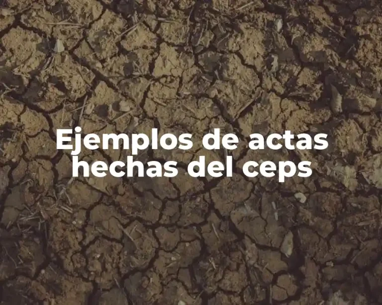 Ejemplos de actas hechas del ceps