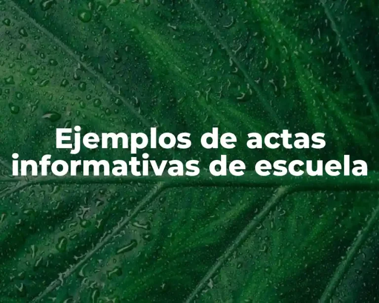 Ejemplos de actas informativas de escuela