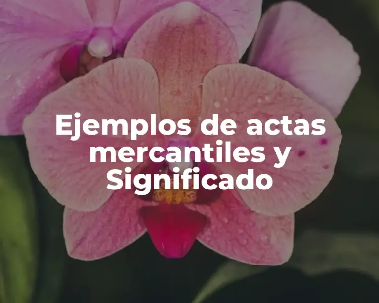 Ejemplos de actas mercantiles y Significado