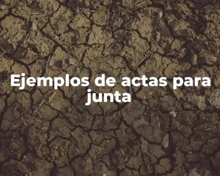 Ejemplos de actas para junta