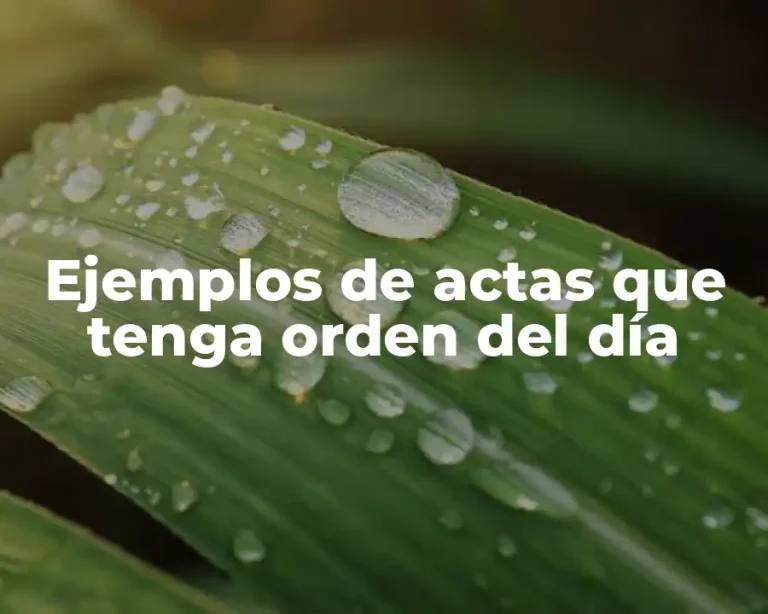 Ejemplos de actas que tenga orden del día