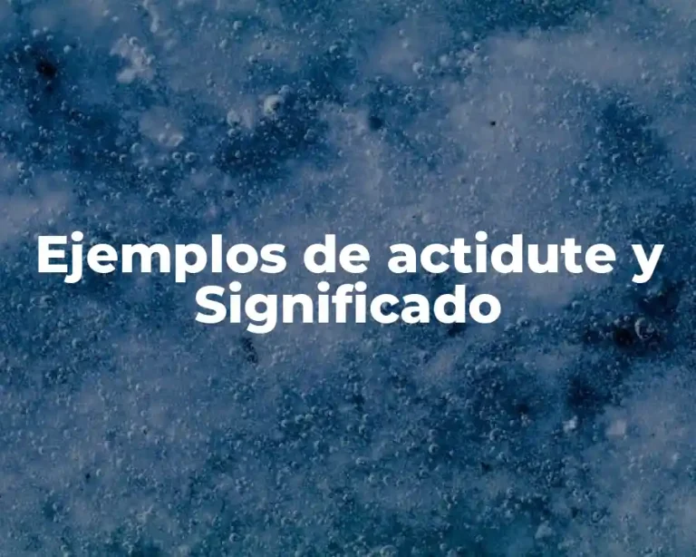 Ejemplos de actidute y Significado