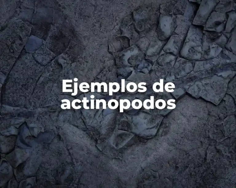 Ejemplos de actinopodos