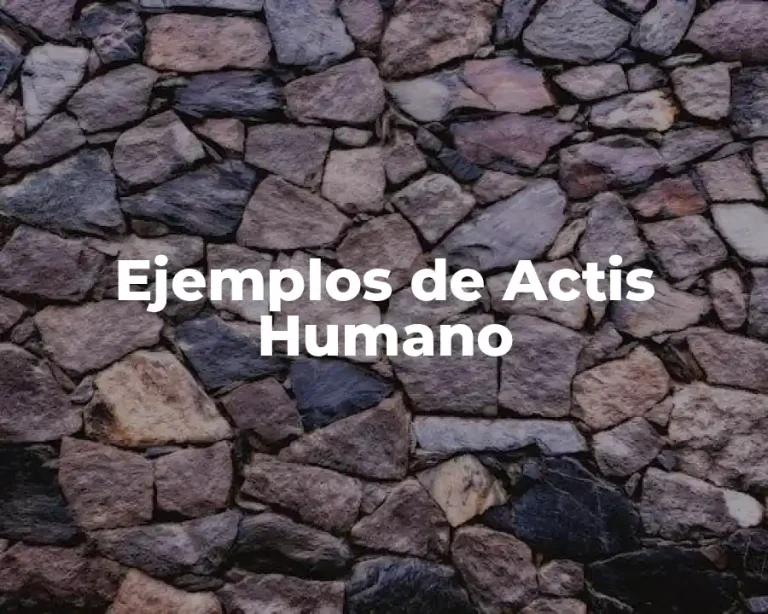 Ejemplos de Actis Humano