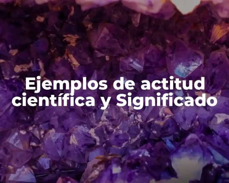 Ejemplos de actitud científica y Significado