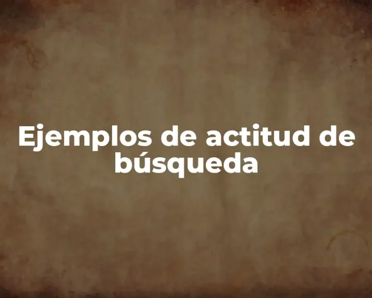 Ejemplos de actitud de búsqueda
