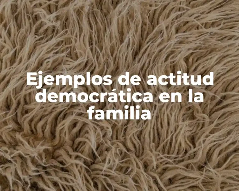 Ejemplos de actitud democrática en la familia