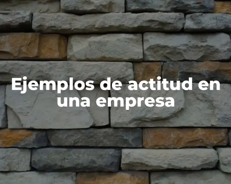 Ejemplos de actitud en una empresa